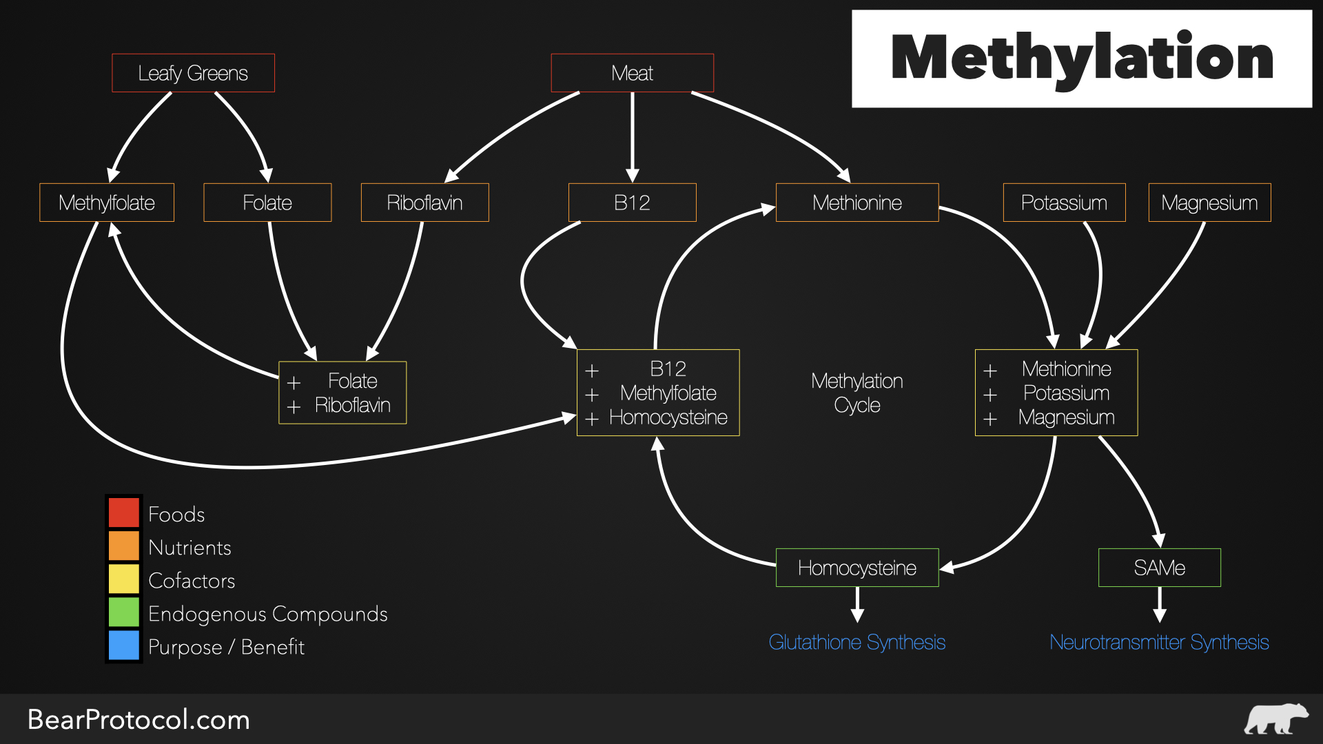 Methylation Made Simple