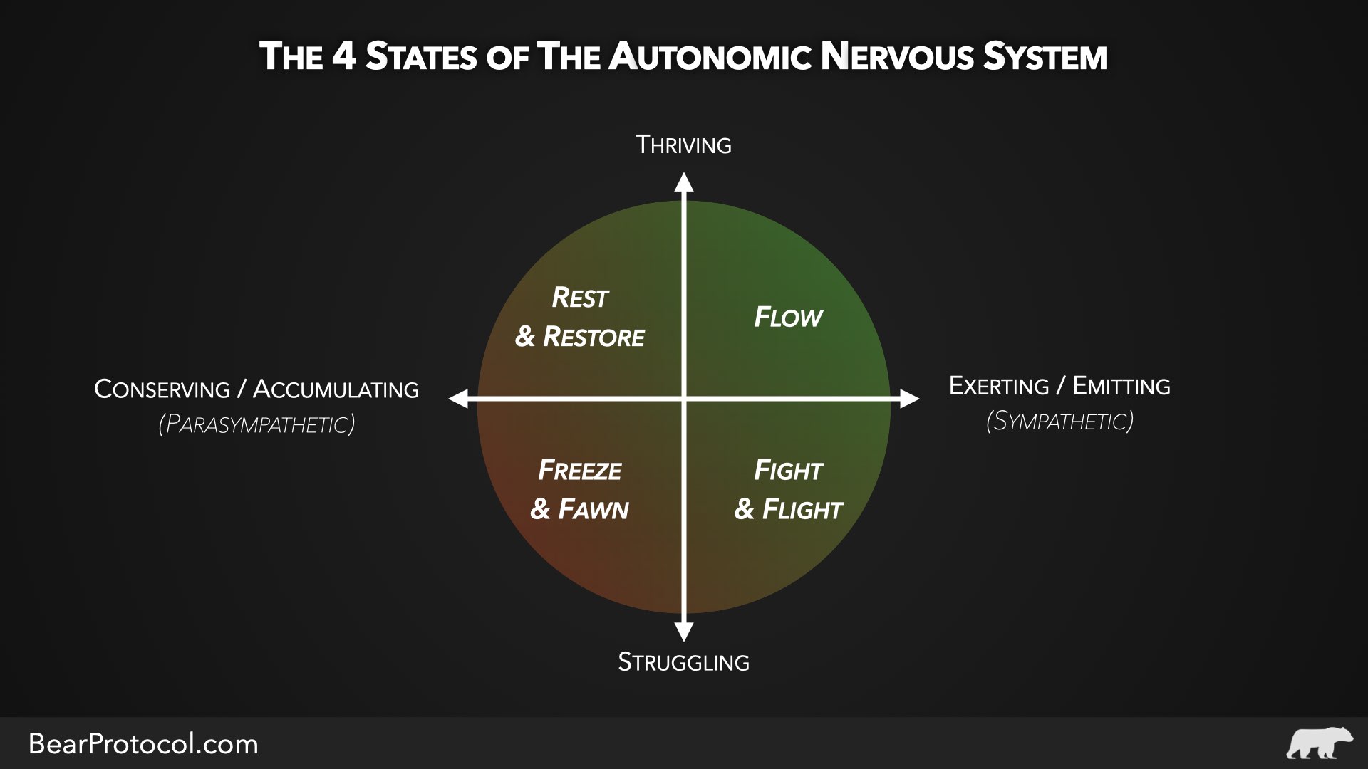 The Four Nervous System States
