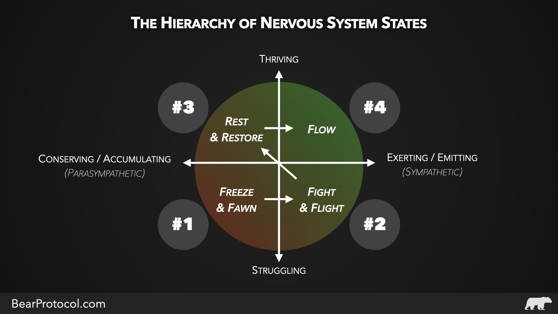 The 4 Steps Of Nervous System Recovery