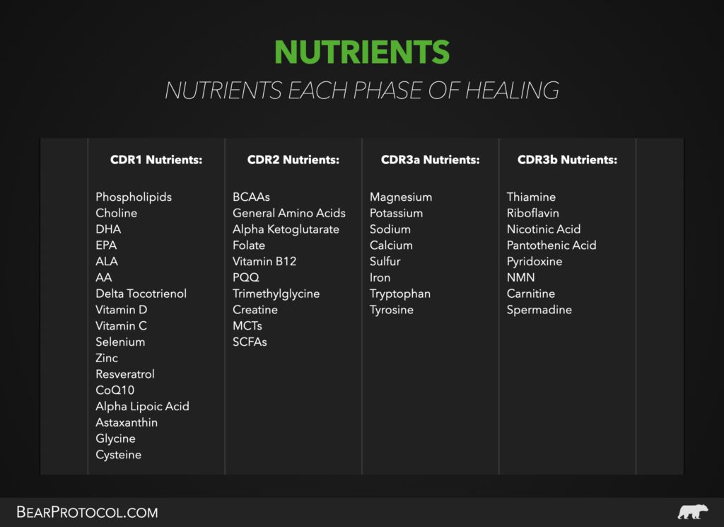 Nutrient Needs Throughout the Cell Danger Response