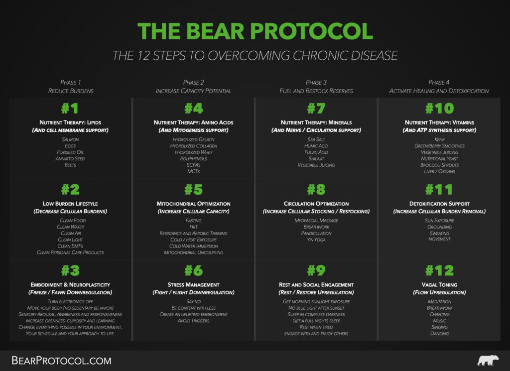 The Bear Protocol Cheatsheet