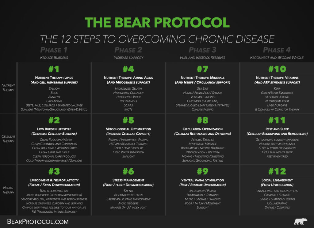 The Bear Protocol Cheatsheet